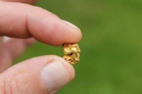 الذهب
يهبط
قرب
4800
دولار
فى
التداولات
العالمية..
هكذا
تفاعل
عيار
21