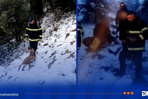باتنة..
العثور
على
4
شبان
تائهين
بأعالي
جبل
كوندورسي