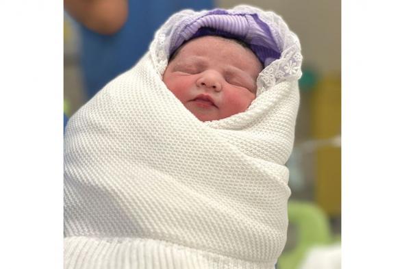 15 توصية برلمانية لزيادة معدلات الإنجاب وتعزيز نمو الأسرة