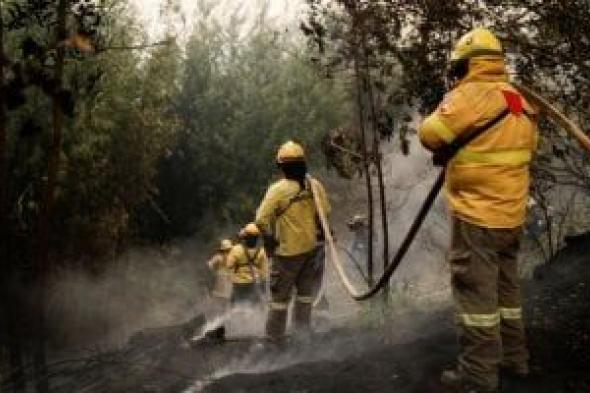 حرائق
غابات
فى
الشتاء..
إجلاء
السكان
فى
تشيلى
بعد
تمدد
النيران
إلى
المنازل