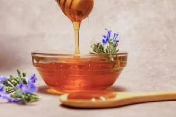 خارطة
طريق
لنجاح
النحالين
وتحقيق
طفرة
فى
إنتاج
العسل