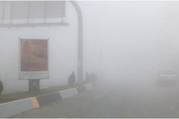 «الأرصاد»
    ينبه
    من
    رياح
    نشطة
    وضباب
    على
    عدد
    من
    محافظات
    منطقة
    المدينة
    المنورة