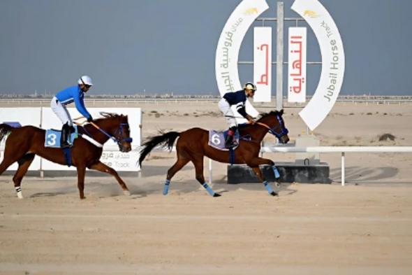 ميدان
    فروسية
    الجبيل
    يقيم
    سابع
    سباقاته
    للموسم
    الرياضي
    2025
    -
    2026