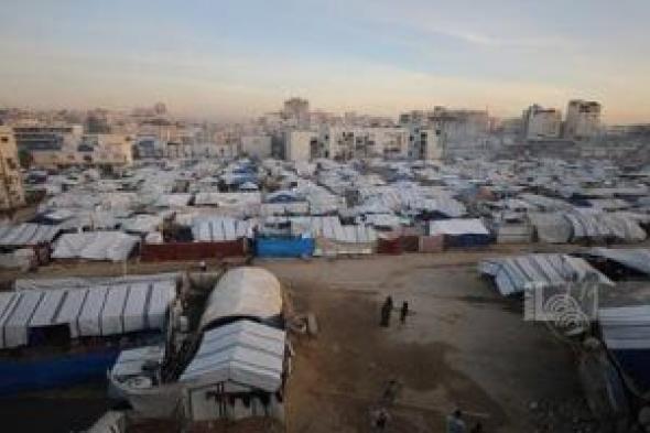 خبير:
مصر
تتحرك
فى
غزة
لمسؤوليتها
التاريخية
تجاه
القضية
الفلسطينية