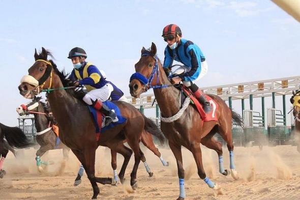 ميدان
    فروسية
    الأحساء
    يقيم
    سباقه
    الثالث
    عشر