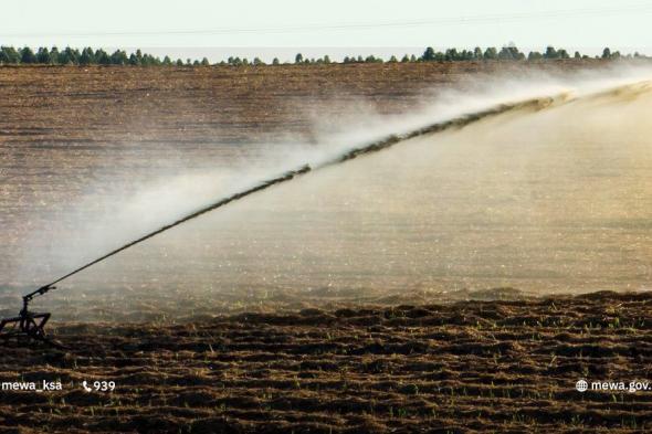 موعد
حظر
زراعة
الأعلاف
المعمرة
في
الرف
الرسوبي