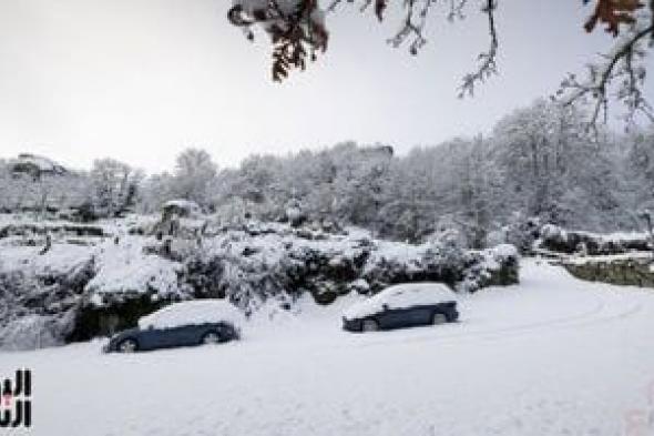 العاصفة
إنجريد
تشل
الحياة
فى
البرتغال
وتساقط
كثيف
للثلوج