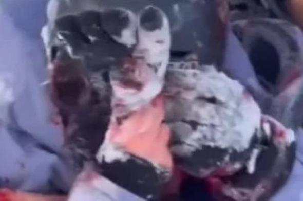 سيلفى الموت.. نمر ثلجى يهاجم سائحة حاولت التقاط صورة معه فى الصين..فيديو