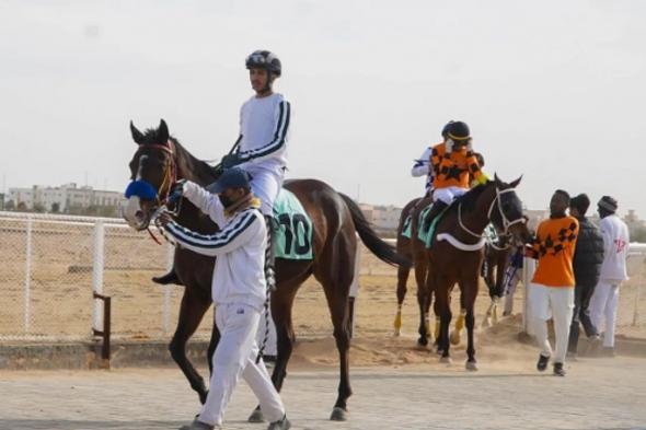 ميدان
    فروسية
    القريات
    يقيم
    حفل
    سباقه
    السابع