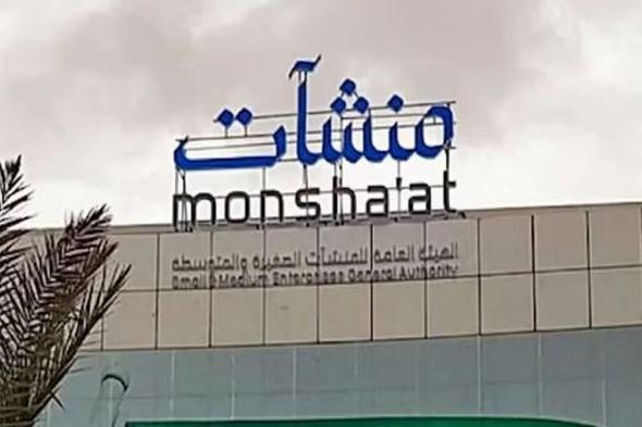 «منشآت»
    تختتم
    جولة
    «جدير»
    بالمدينة
    المنورة