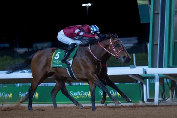 13
    فبراير..
    المملكة
    تستضيف
    كأس
    السعودية
    بمشاركة
    نخبة
    من
    أفضل
    الجياد
    والفرسان