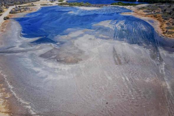 حكم
      قضائي
      يلزم
      هولندا
      بحماية
      إحدى
      جزرها
      من
      تغير
      المناخ