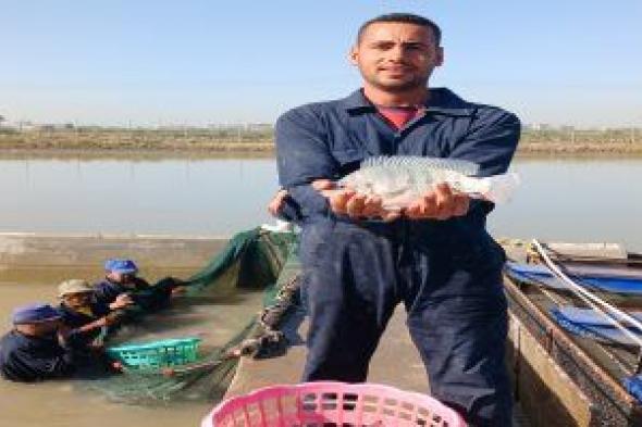 باحث
بالمركز
الدولي
للأسماك
يوضح
طرق
اختيار
السمك
الطازج