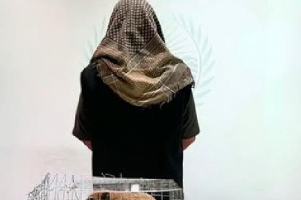 ضبط
مواطن
لعرضه
كائنات
فطرية
دون
ترخيص
للبيع
بعسير