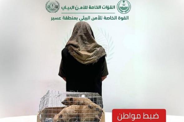 ضبط
    مواطن
    بعسير
    ظهر
    في
    محتوى
    مرئي
    يعرض
    كائنات
    فطرية
    دون
    ترخيص
    للبيع