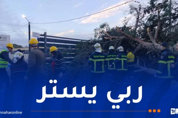 هبوب
رياح
قوية..
تسجيل
530
تدخلا
منذ
27
جانفي