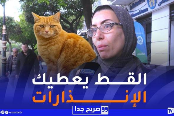 صريح
جدا
/
ثقافة
الوقاية
من
الكوارث
..
بين
المسؤولية
المشتركة
والوعي
الجماعي