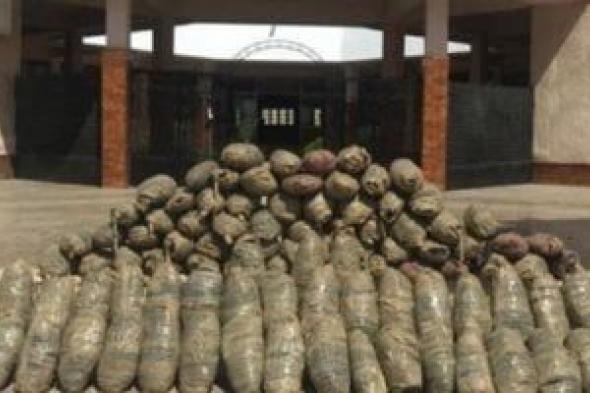 سم
أخضر
يدمر
العقول..
البانجو
خطر
صامت
والداخلية
في
مواجهة
حاسمة