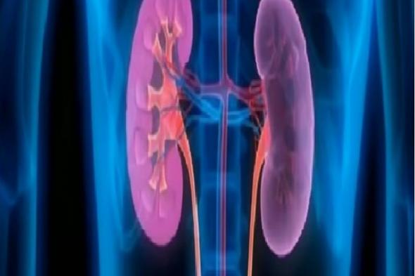 استشاري:
    يمكن
    تحسين
    وظائف
    الكلى
    في
    الكثير
    من
    الحالات