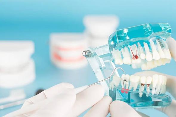 مختص:
    رفع
    نسب
    التوطين
    بمهن
    طب
    الأسنان
    يقلل
    الاعتماد
    على
    الاستقدام