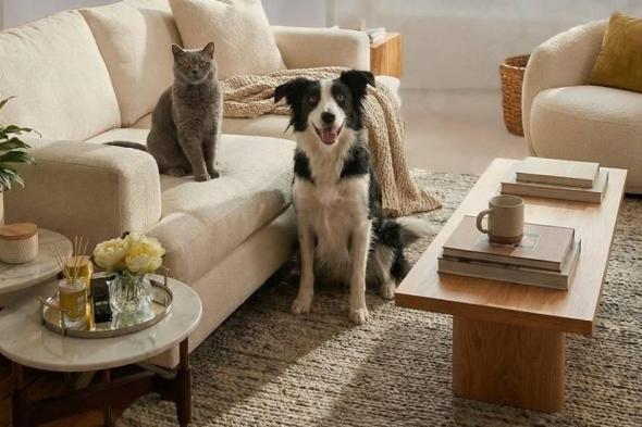 تسجيل
      إلزامي
      للكلاب
      والقطط
      في
      أبوظبي
      بدءاً
      من
      الثلاثاء