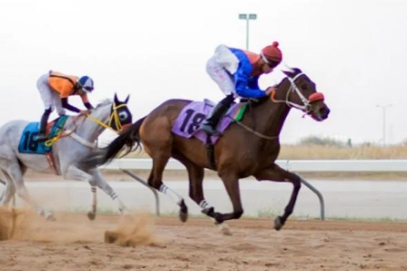 ميدان
فروسية
الأحساء
يقيم
سباقه
الرابع
عشر