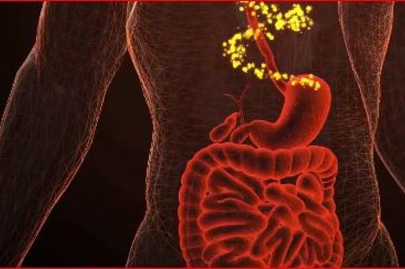 استشاري:
    7
    عوامل
    لخطورة
    سرطان
    القولون