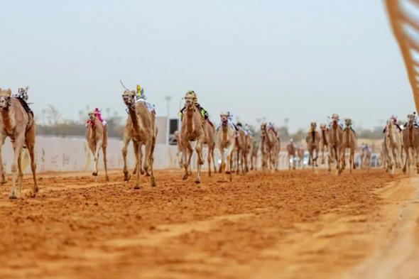 ميدان
    الجنادرية
    يستعد
    لختام
    مهرجان
    خادم
    الحرمين
    الشريفين
    للهجن
    2026