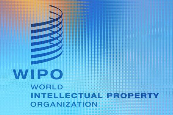 مكتب
الويبو
بالجزائر
يشيد
بجهود
الجزائر
في
دعم
المؤسسات
الصغيرة
والمتوسطة