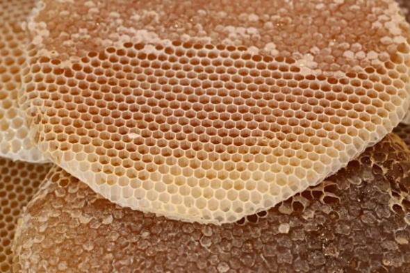 العسل
والحنيذ..
نكهة
تراثية
تعكس
هوية
محايل
عسير