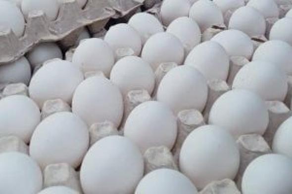 وزارة
الزراعة
تطرح
كرتونة
البيض
بـ110
جنيهات
بمعرض
المتحف
الزراعي
بالدقى