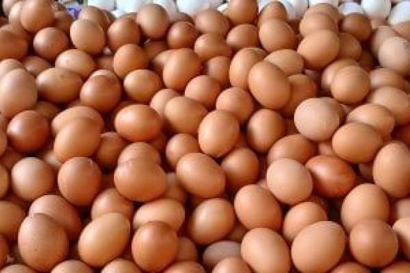 وزارة
الزراعة
تطرح
كرتونة
البيض
بـ
110
جنيهات
بمعرض
المتحف
الزراعى
بالدقى