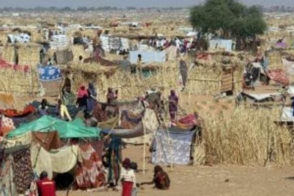 مسؤولة أممية: أطفال السودان يعيشون على حافة الهاوية ويحتاجون اهتمام دولي عاجل