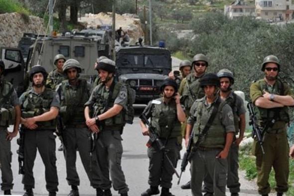 قوات
    الاحتلال
    الإسرائيلي
    تتوغل
    في
    جنوب
    الأراضي
    السورية