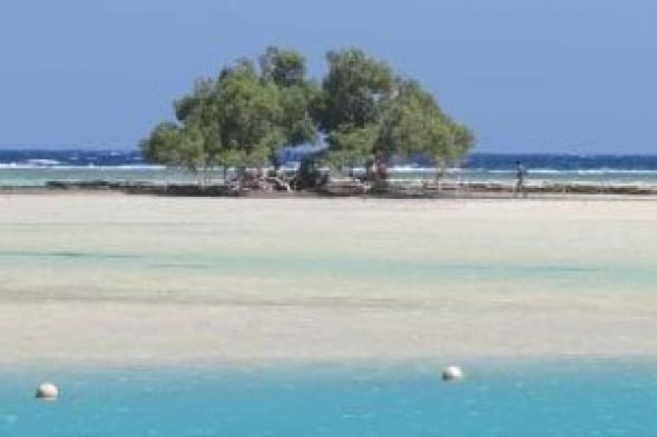 حماطة..
حيث
يلتقي
سحر
البحر
الأحمر
برحلة
الطيور
المهاجرة