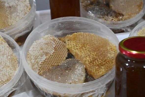 أكثر
    من
    20
    ألف
    زائر
    وزائرة
    لمعرض
    عسل
    جازان
    2026