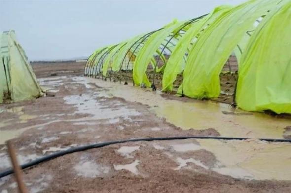 وزارة
الفلاحة
تشرع
في
إحصاء
خسائر
الفلاحين
والمربين
المتضررين