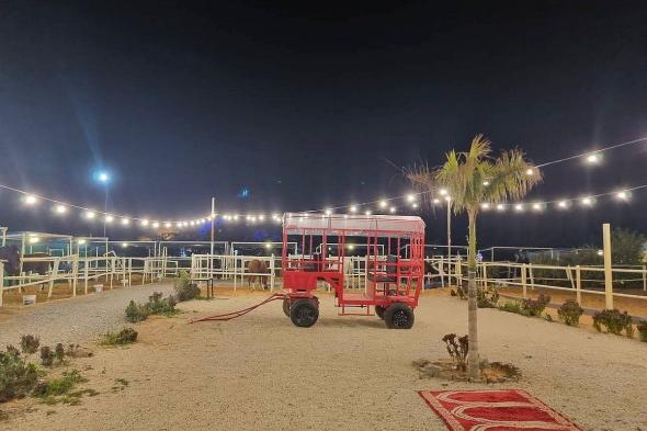 «ورق
    سدرة»..
    فعالية
    ثقافية
    تستحضر
    أصالة
    الجبال
    وحكايات
    المكان
    في
    حائل