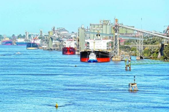 الأرجنتين
      تفتح
      أسواقها
      أمام
      منتجات
      أمريكا
      مقابل
      تخفيف
      الرسوم