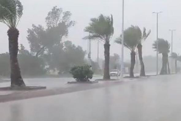 أمطار
ورياح
شديدة
السرعة
على
منطقة
حائل