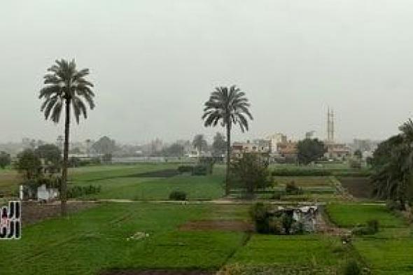 قفزة
تاريخية
في
تمويل
المشروعات
الزراعية..
17.5
مليار
جنيه
لـ680
ألف
عميل