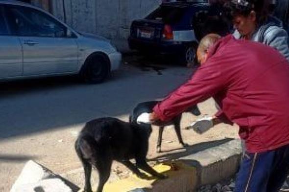 الطب
البيطري
بقنا
يواصل
حملات
تحصين
الكلاب
الضالة