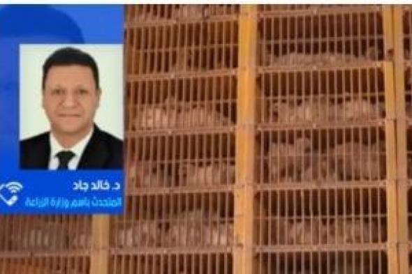 متحدث
الزراعة:
مصر
تمتلك
اكتفاء
ذاتيا
من
الدواجن
والأسعار
ستشهد
استقرارا