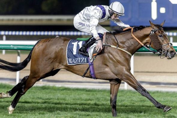 «ديفيدند» بطلاً لسباق «لورد جيلترز» في «ميدان»