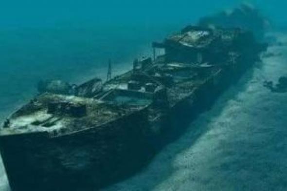 سيسل
الجورم..
أسطورة
السفن
الغارقة
وأحد
أهم
مواقع
الغوص
في
البحر
الأحمر