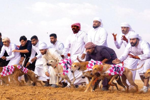 مهرجان العين التراثي يحتفي بـ «رفيق الصيد الوفي»