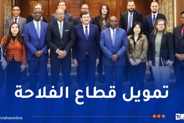 وزير
الفلاحة
يتباحث
سبل
الشراكة
مع
وفد
من
مؤسسة
التمويل
الدولية
IFC