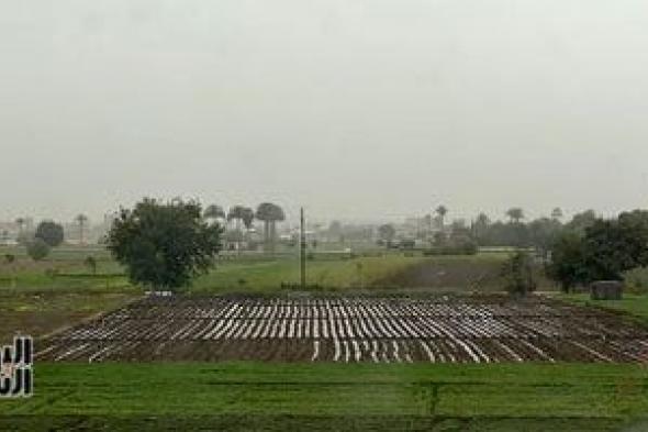 مركز
المناخ:
روشتة
عاجلة
لحماية
المحاصيل
من
تقلبات
الطقس
وتوصيات
للمزارعين