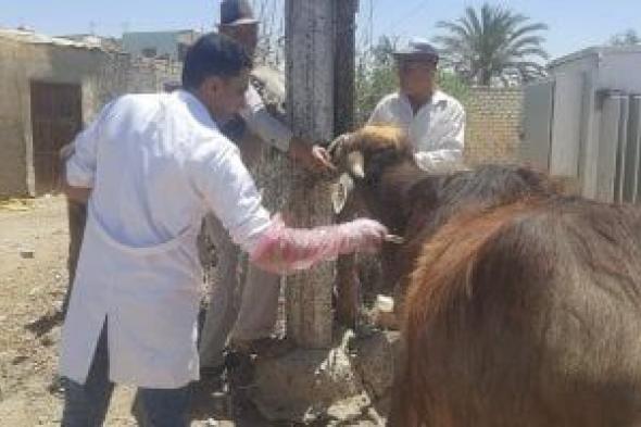 قافلة
بيطرية
مجانية
بقرية
المصلحة
فى
المنوفية
الخميس
المقبل