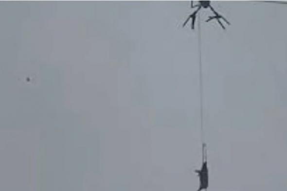 درون وخنزير طائر يغرقان قرية صينية في ظلام دامس